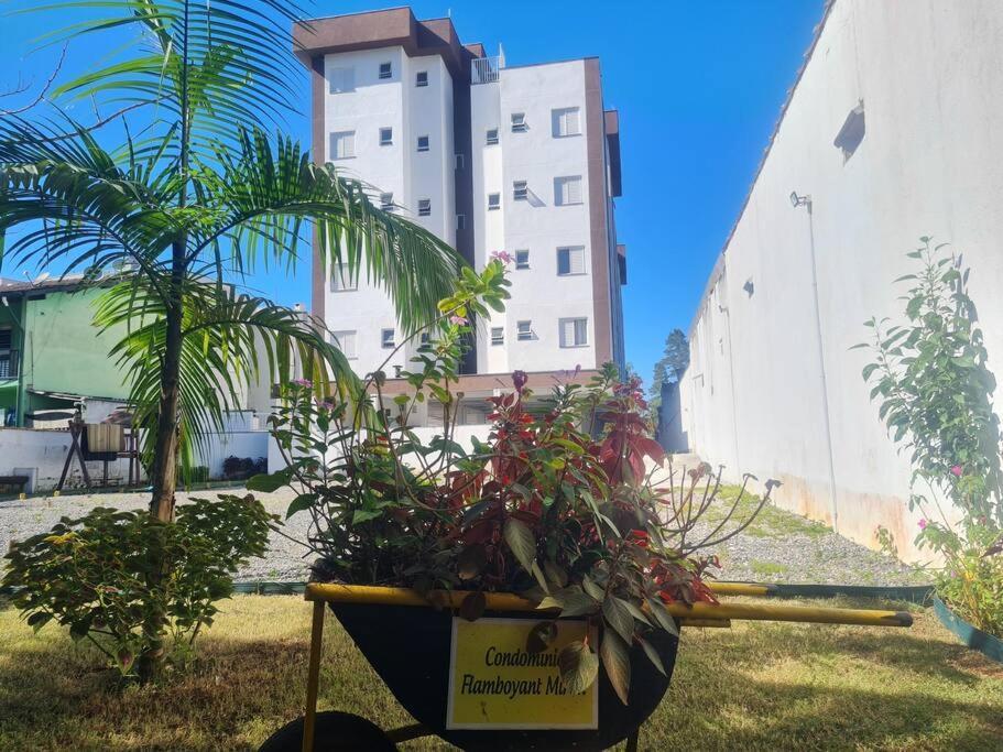 Apartamento Apto - Praias Santa Rita, Enseada E Pereque